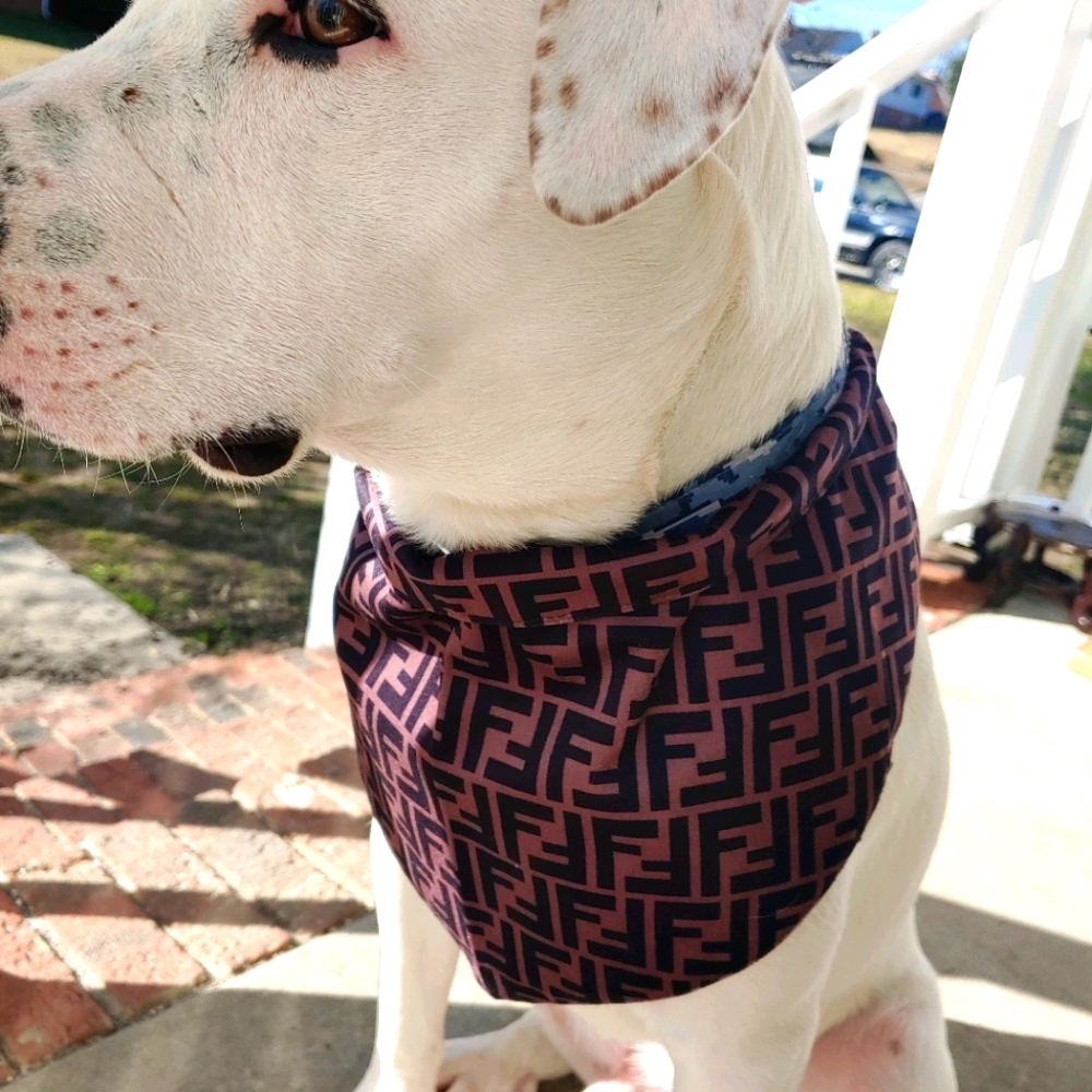 Dog bandanas 🐕 multiple styles